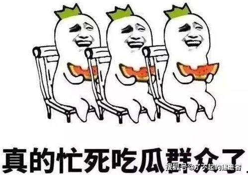 娱乐吃瓜酱低智商